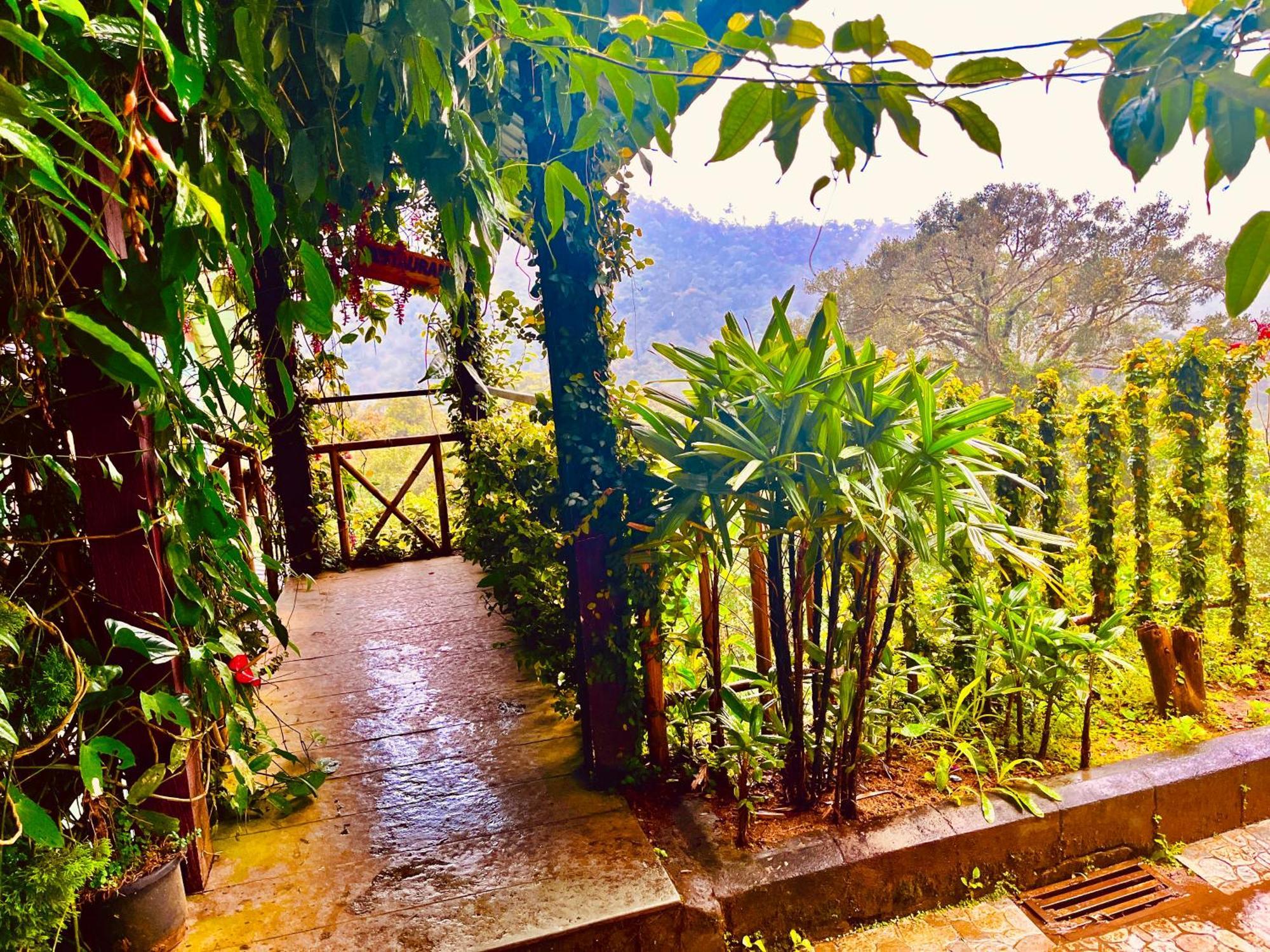 Munnar Tea Estate Cottage And Resort - Away From City Hustle Exterior photo