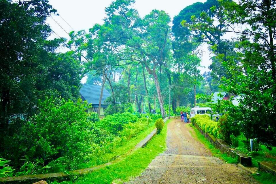 Munnar Tea Estate Cottage And Resort - Away From City Hustle Exterior photo